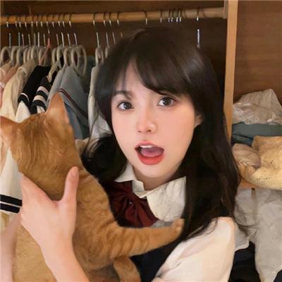 骇客交锋