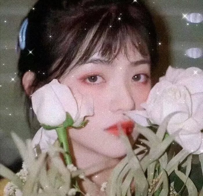 阴阳路13：花鬼国语